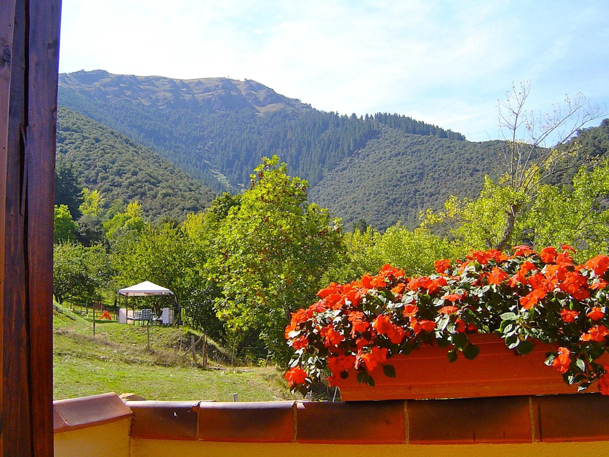 Posada El Bosque Mieses Esterno foto